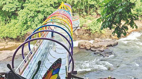 Napane Waterfall Glass Bridge