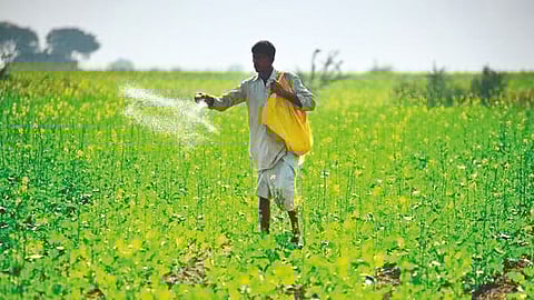 India Fertilizer Shortage