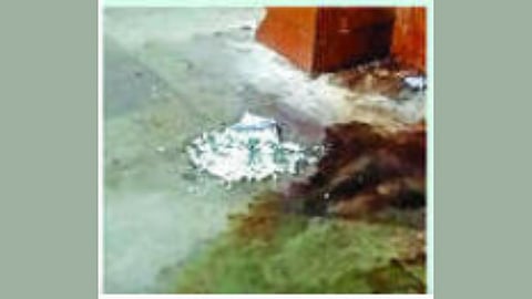 Harbour local hygiene issue