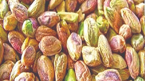 Pistachio health benefits