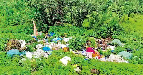 Panchgani garbage problem |