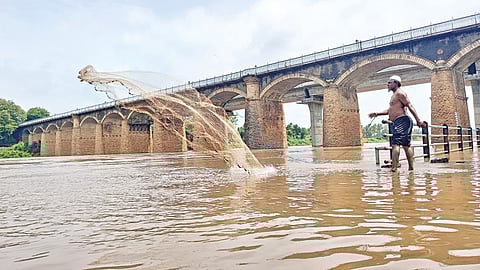 Sangli Flood Alert |