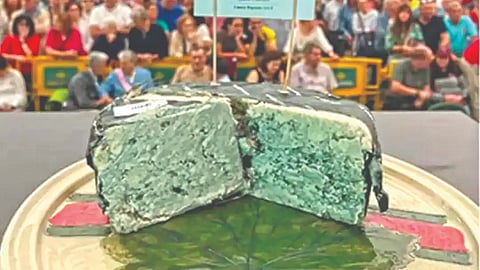 most-expensive-cheese-in-the-world