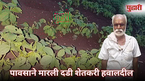 Drought Dharashiv Farmers Crisis