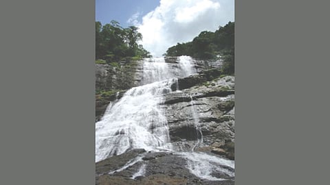 Tourist misbehavior control