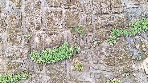 Kokisare Rock Carvings