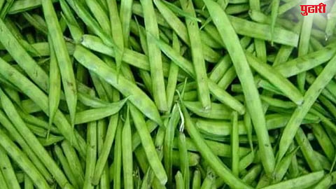 Gawar Rate