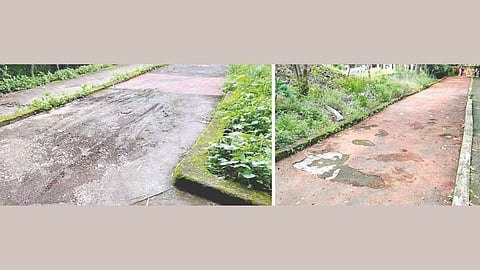 Hutatma Udyan Walking Track Issue