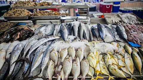 Fish Market