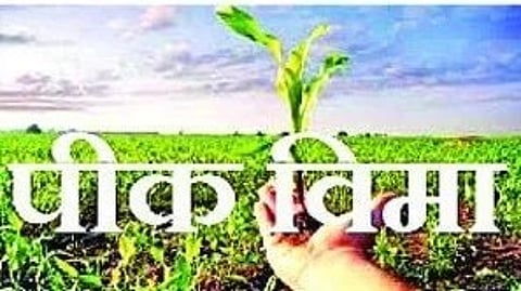 Beed Crop Insurance