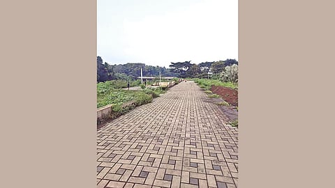 Godapark project