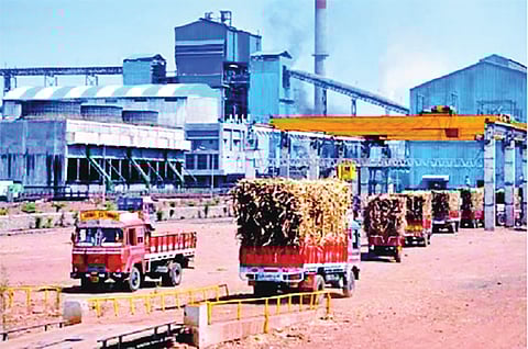 Solapur News |