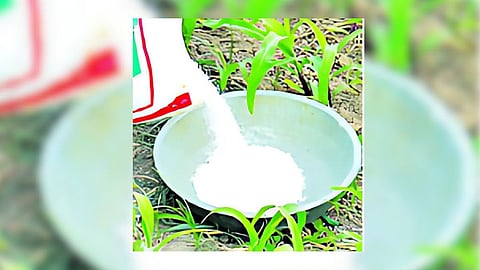 Chemical Fertilizers