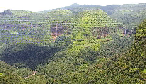 Sahyadri biodiversity revival