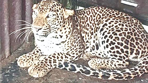 देवळाली कॅम्प, नाशिक