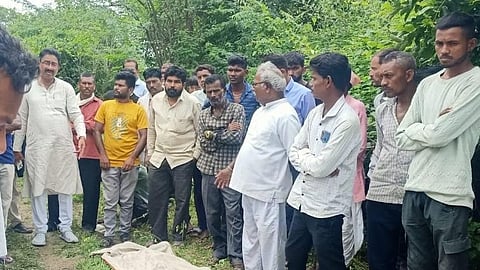 Amravati Farmer Bull Electrocuted