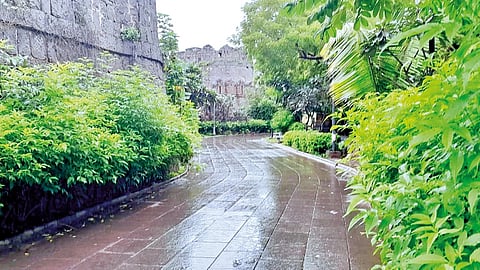 Solapur Rain |