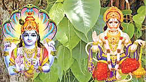 Shravan month festivals