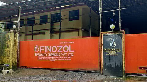 Phenol pollution