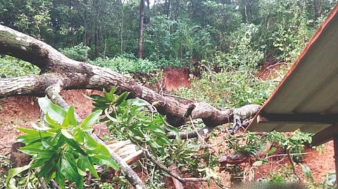 Kudal landslide