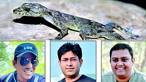 Satara News