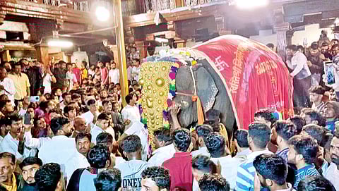 supreme court dismisses plea final farewell to nandani mahadevi