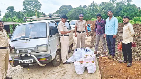 Gutkha Seizure