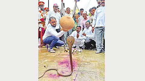 Shirala Nag Panchami |