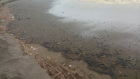 Vasai beach oil spill