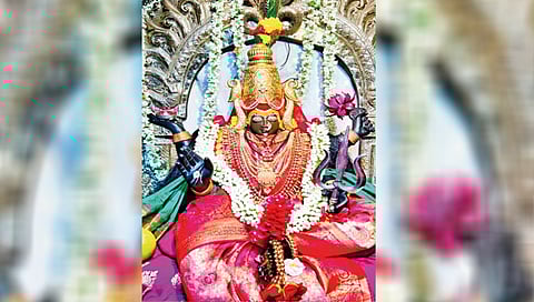 jotiba-hill-bloomed-for-shravana-shashthi-festival