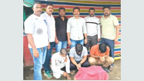 Raigad ganja seizure