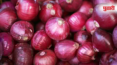 Onion Market