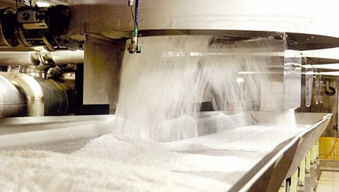 Signs of increased production in the sugar season