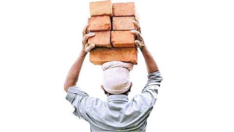 Bogus Construction Workers