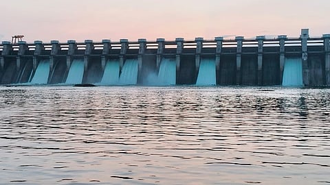Nathsagar Dam |