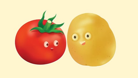 potato-contains-genetic-traits-of-tomato-and-etuberosum