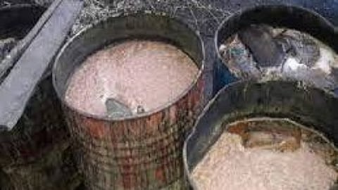 Navsagar chemical raid