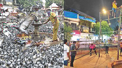 Dadar Kabutarkhana enclosed