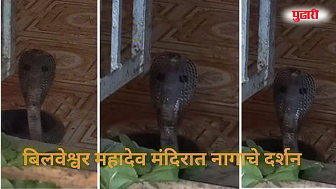 Jawkheda Bilveshwar Mahadev Temple