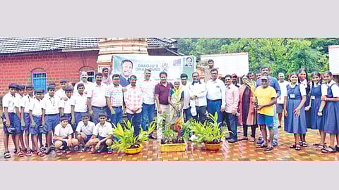 Tree Plantation Sindhudurg