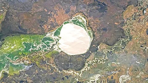 African Lake Silver Mirror