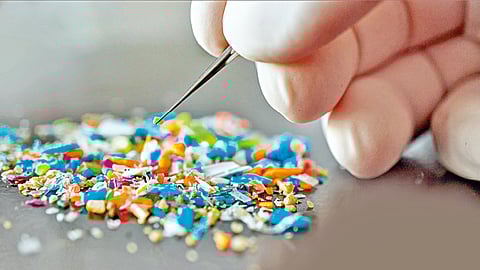 microplastics-found-in-human-brain-and-organs