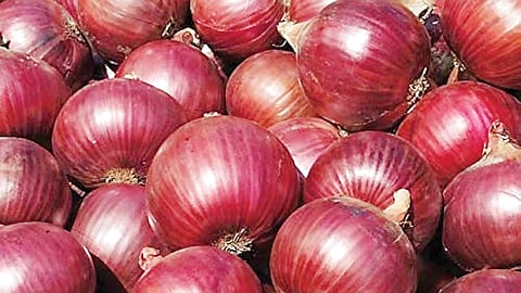 Onion Price