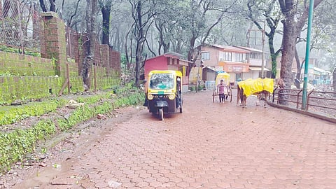 Matheran hand rickshaw ban