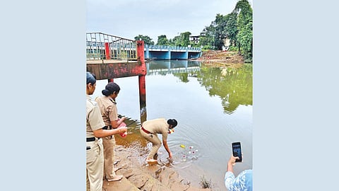 Symbolic Golden Coconut