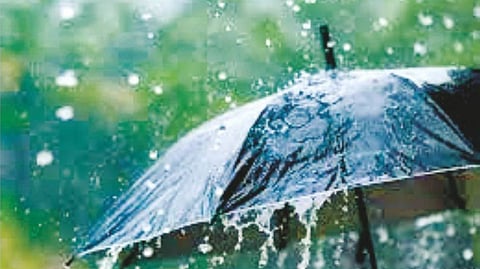 Kokan rainfall