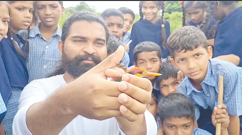 kingfisher bird workshop