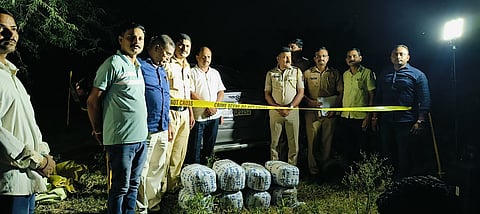Jalgaon Ganja Seizure