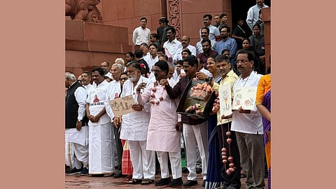 Parliament Onion Protest