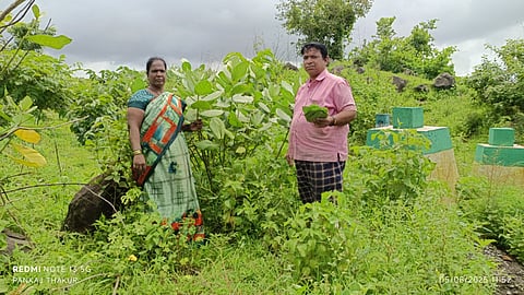 Rui leaves handicraft income